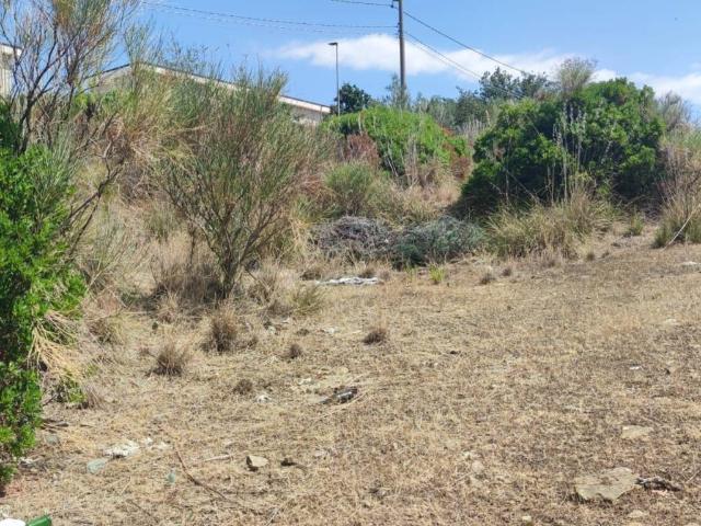 Terreno in vendita a Torchiara, Campania