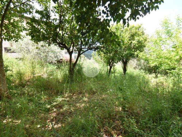 Terreno in vendita a Torchiara, Campania
