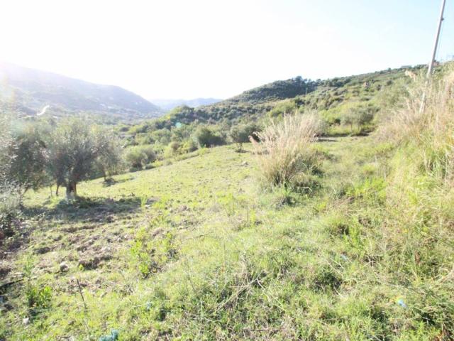 Terreno in vendita a Torchiara, Campania