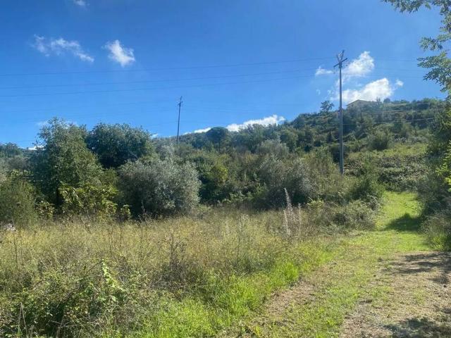 Terreno in vendita a Torchiara, Campania