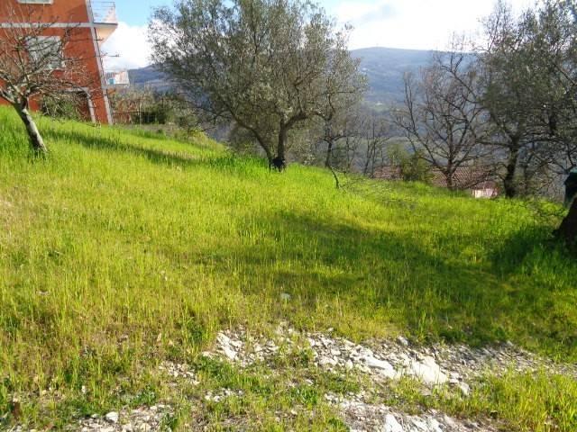 Terreno in vendita a Torchiara, Campania