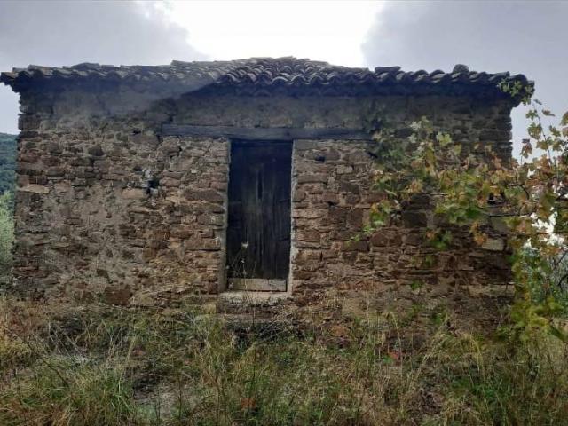 Terreno in vendita a Torchiara, Campania