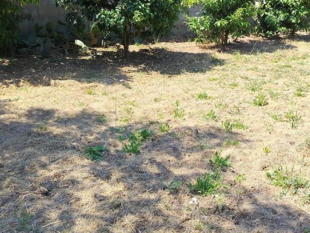 Terreno in vendita a Puglia, Brindisi