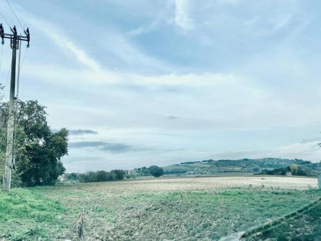 Terreno in vendita a Torgiano, Perugia