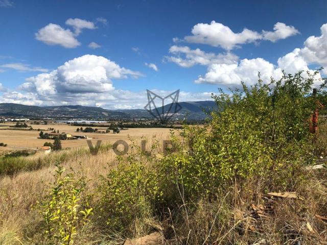 Terreno in vendita a Torgiano, Umbria