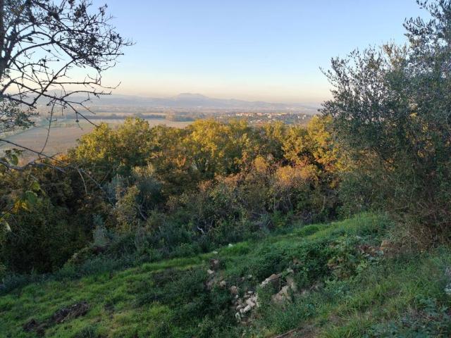 Terreno in vendita a Fornaci, Torgiano
