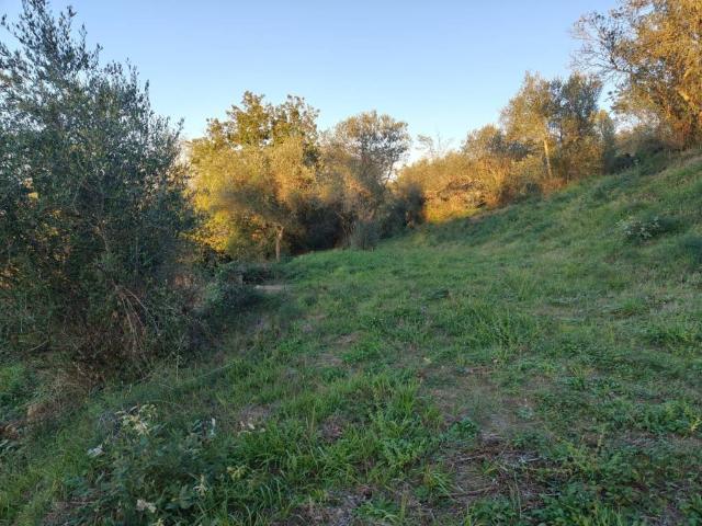 Terreno in vendita a Fornaci, Torgiano