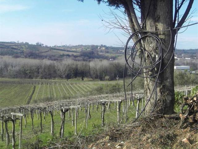 Terreno in vendita a Torino Di Sangro, Abruzzo