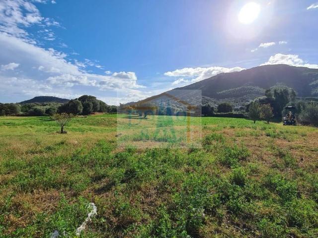 Terreno in vendita a Torpè, Sardigna/Sardegna
