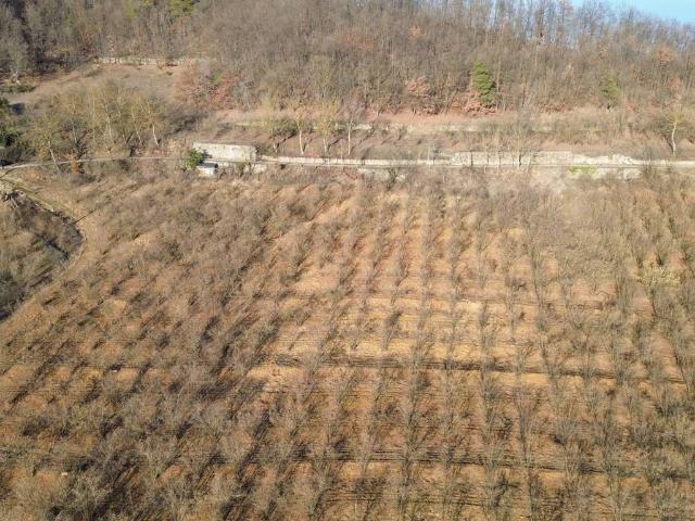 Terreno in vendita a Piemonte, Cuneo