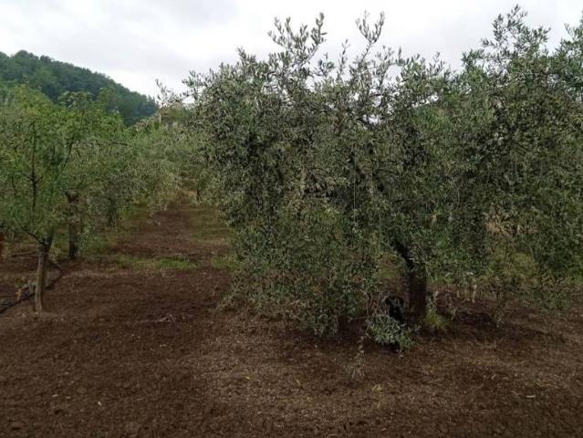 Terreno in vendita a Torre Le Nocelle, Campania