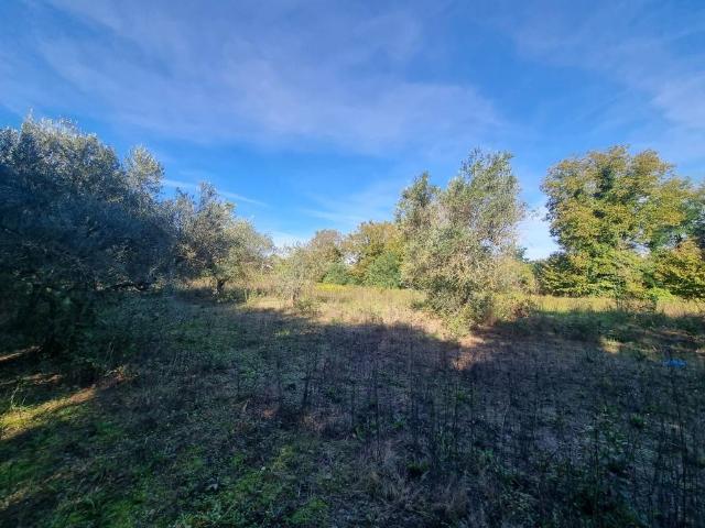 Terreno in vendita a Torre Le Nocelle, Campania