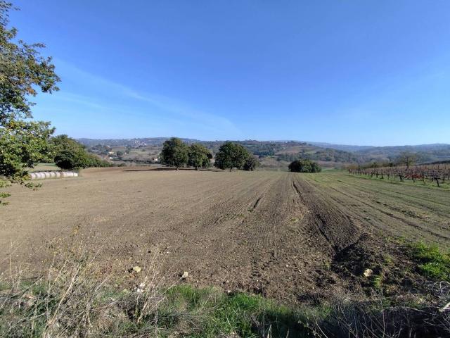 Terreno in vendita a Torre Le Nocelle, Campania
