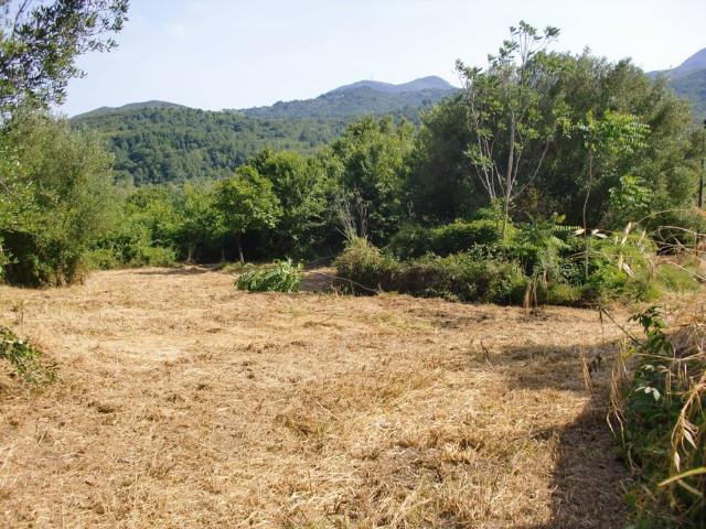 Terreno in vendita a Roccagloriosa, Campania