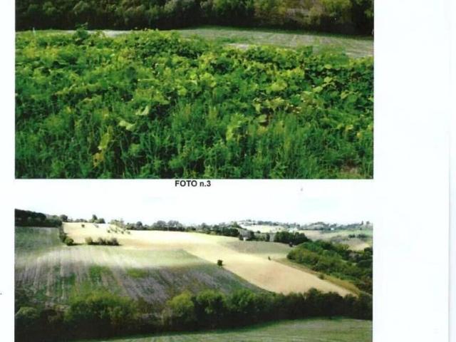 Terreno in vendita a Marche, Fermo