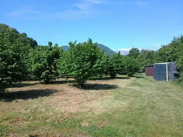 Terreno in vendita a Torrebelvicino, Veneto