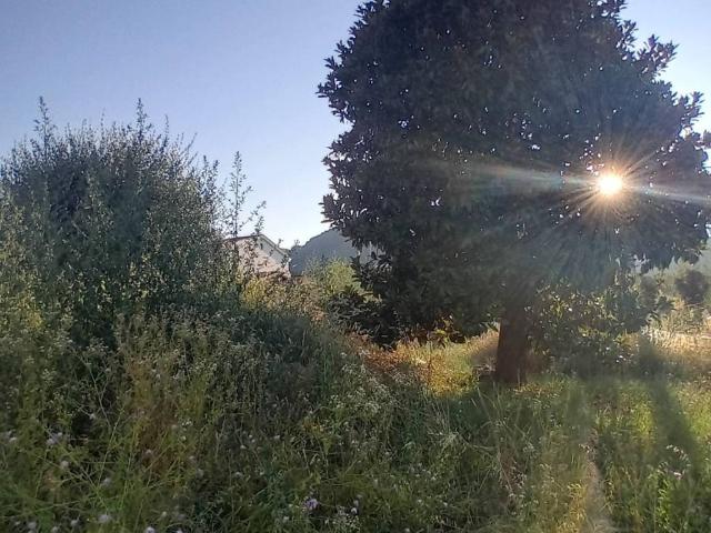 Terreno in vendita a Torreglia, Veneto