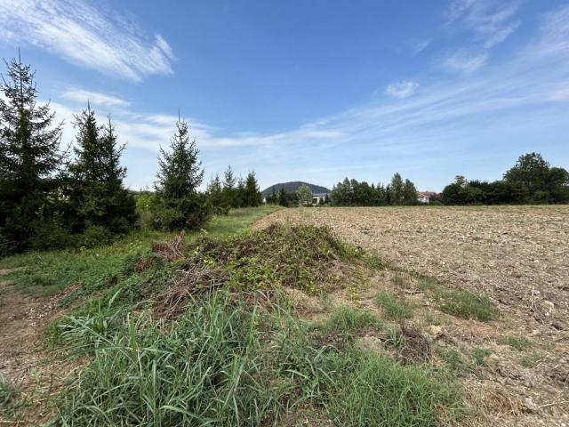 Terreno in vendita a Torreglia, Veneto