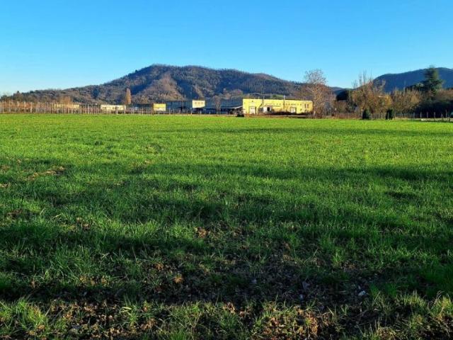 Terreno in vendita a Torreglia, Veneto