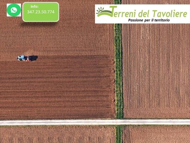 Terreno in vendita a Puglia, Foggia