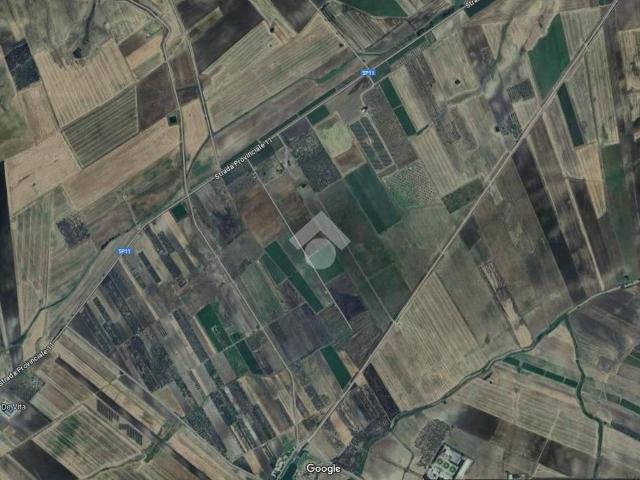 Terreno in vendita a Puglia, Foggia