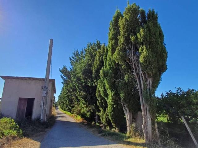 Terreno in vendita a Zappulla, Torrenova