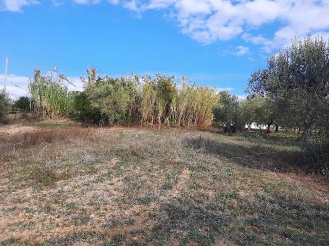 Terreno in vendita a Torrevecchia Teatina, Chieti