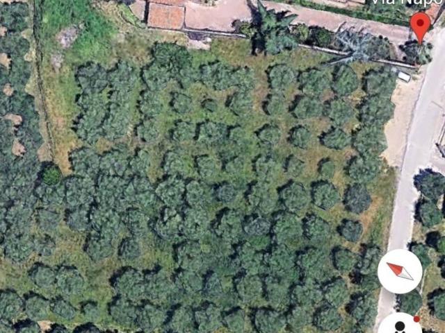 Terreno in vendita a Torrevecchia Teatina, Abruzzo