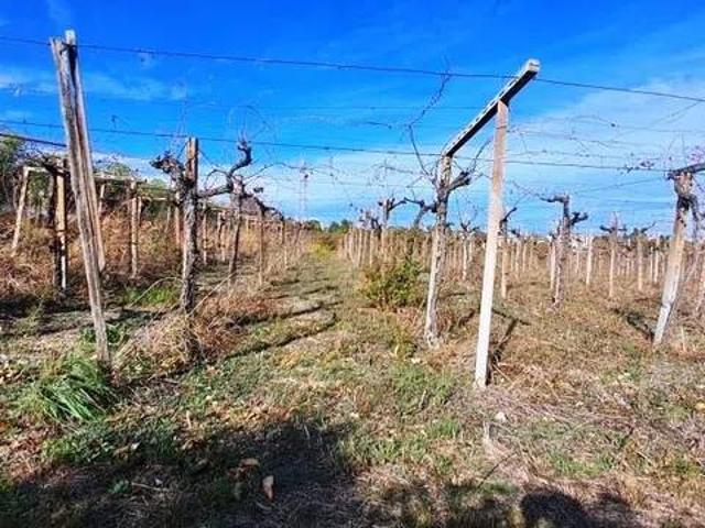 Terreno in vendita a Torrevecchia Teatina, Abruzzo