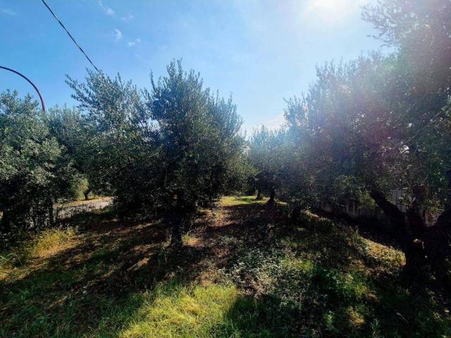 Terreno in vendita a Torrevecchia Teatina, Abruzzo