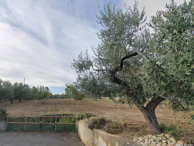 Terreno in vendita a Torrevecchia Teatina, Abruzzo