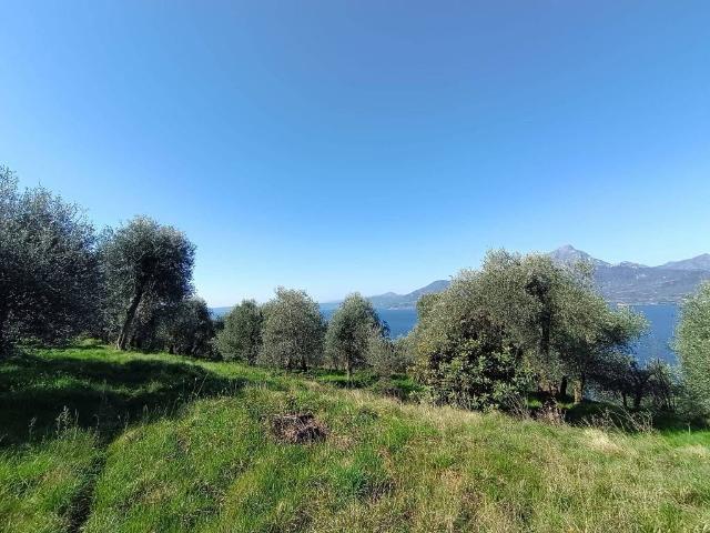 Terreno in vendita a Torri Del Benaco, Veneto