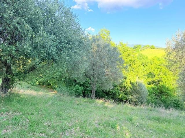 Terreno in vendita a Torri In Sabina, Lazio