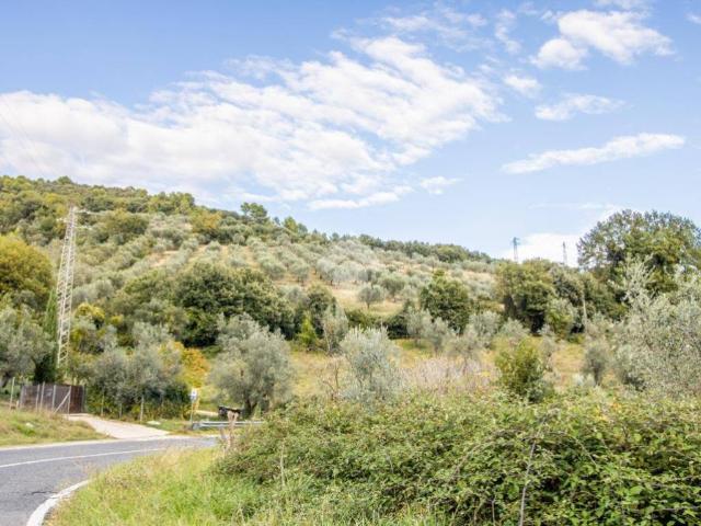 Terreno in vendita a Torri In Sabina, Lazio