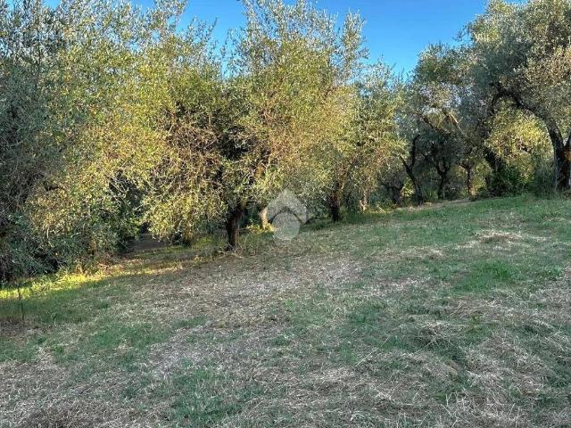 Terreno in vendita a Torri In Sabina, Lazio