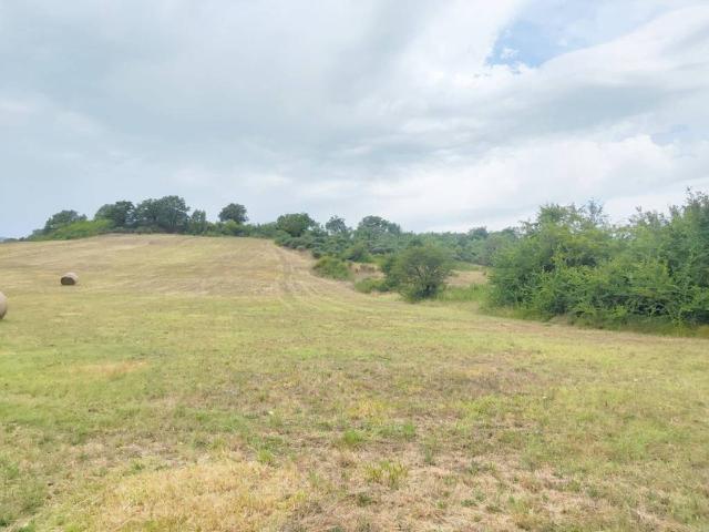 Terreno in vendita a Torricella Sabina, Lazio