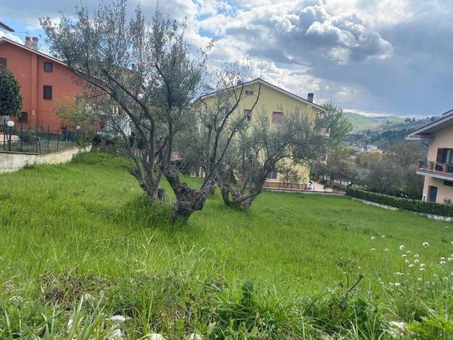 Terreno in vendita a Torricella Sicura, Abruzzo