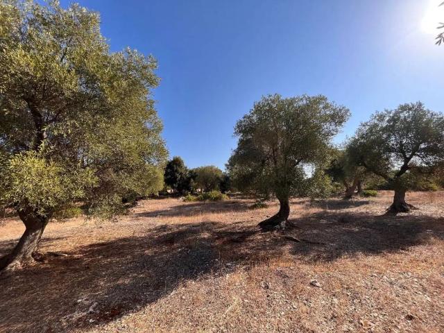Terreno in vendita a Puglia, Taranto