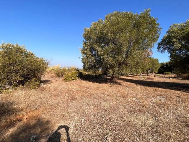 Terreno in vendita a Puglia, Taranto