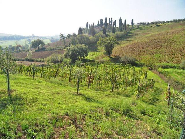Terreno in vendita a Torrita di Siena, Siena