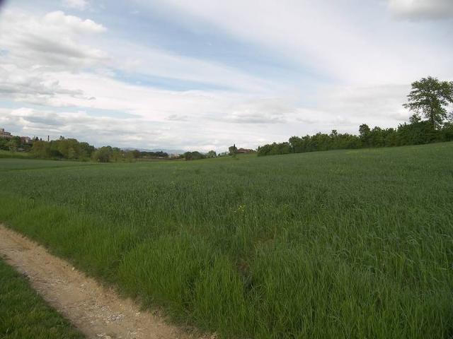 Terreno in vendita a Torrita di Siena, Siena