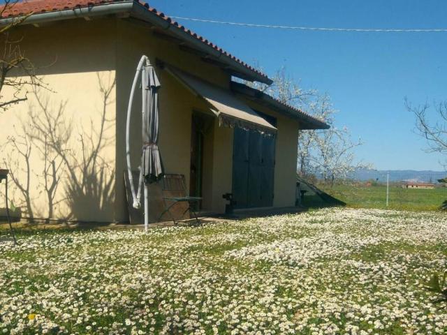 Terreno in vendita a Torrita, Toscana
