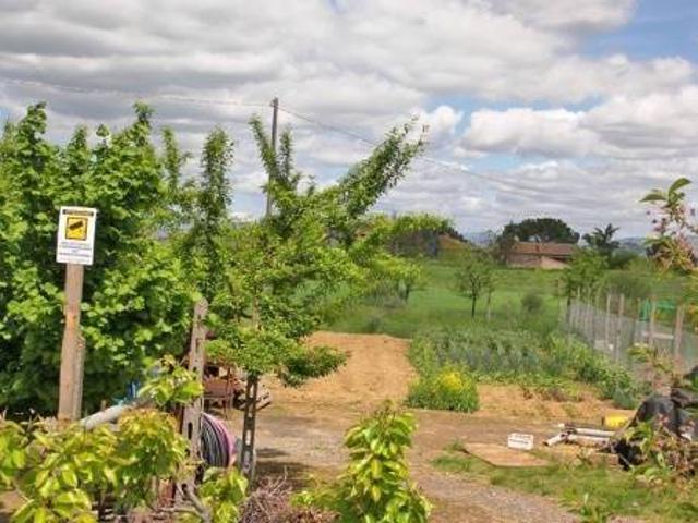 Terreno in vendita a Torrita di Siena, Siena