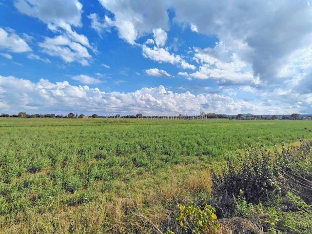 Terreno in vendita a Chiesina, Torrita di Siena