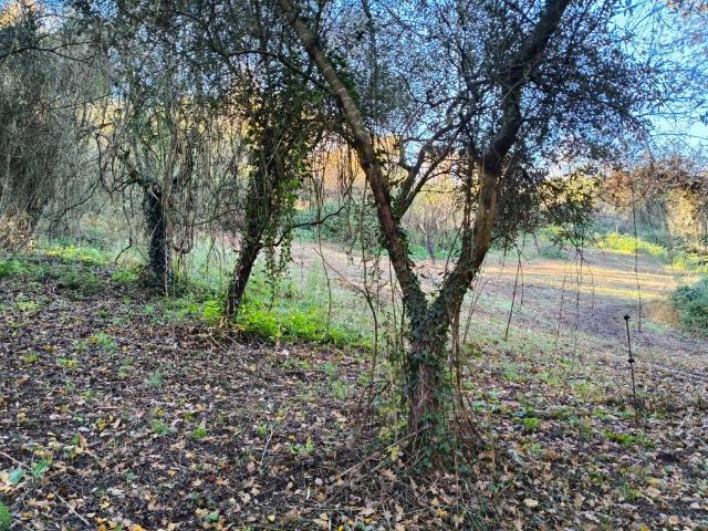 Terreno in vendita a Roma Capitale, Lazio