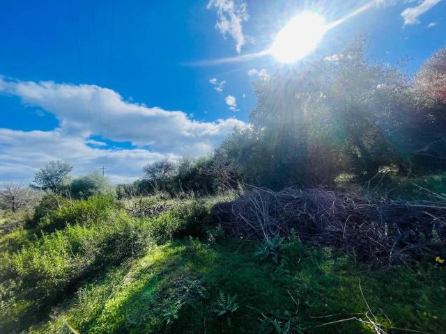 Terreno in vendita a Tortolì, Sardigna/Sardegna