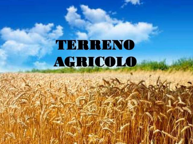 Terreno in vendita a Piemonte, Alessandria