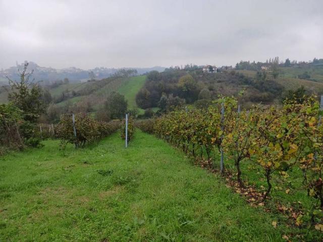Terreno in vendita a Piemonte, Alessandria