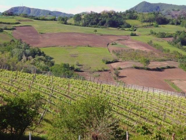 Terreno in vendita a Piemonte, Alessandria