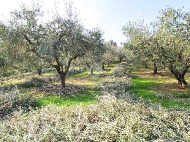 Terreno in vendita a Unione dei Comuni della Val Vibrata, Tortoreto